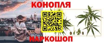 прущая мука Пугачёв
