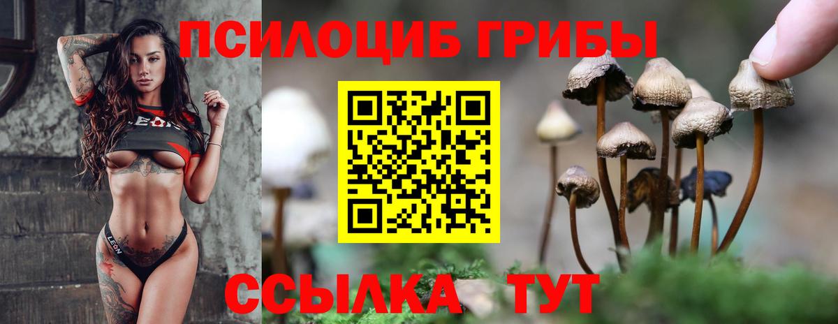 Псилоцибиновые грибы прущие грибы Скопин